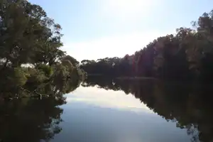 2025-06-30 Scarborough Park - IMG_2928_compressed_q50.webp